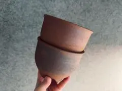 2026年最新】伝市鉢の人気アイテム - メルカリ