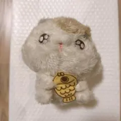 2026年最新】こどもにゃんこ となりのにゃんこの人気アイテム - メルカリ