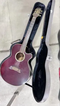 2026年最新】takamine npt-110の人気アイテム - メルカリ