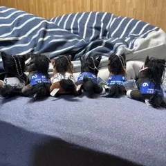 2026年最新】アイドルホースの人気アイテム - メルカリ