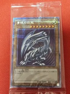 2026年最新】青眼の白龍 プリシクの人気アイテム - メルカリ