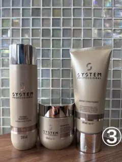 2026年最新】SYSTEM PROFESSIONAL ヘアケアの人気アイテム - メルカリ