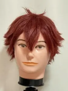 2026年最新】エース・トラッポラ ウィッグの人気アイテム - メルカリ