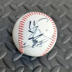 2026年最新】川藤 サインの人気アイテム - メルカリ