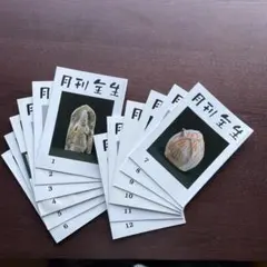 2026年最新】月刊全生の人気アイテム - メルカリ