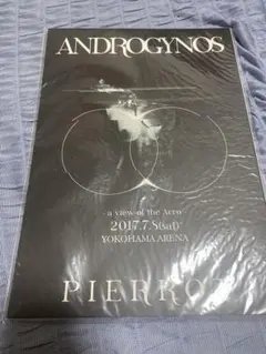 2026年最新】 PIERROT androgynosの人気アイテム - メルカリ