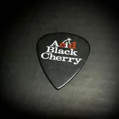 2026年最新】Acid Black Cherry ピックの人気アイテム - メルカリ