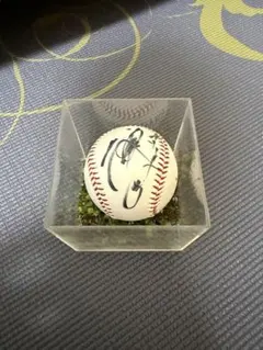 2026年最新】松田宣浩 サインボールの人気アイテム - メルカリ