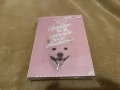 2026年最新】スピッツ ゴースカ dvdの人気アイテム - メルカリ