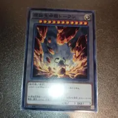 2026年最新】原始生命態トークン シークレットの人気アイテム - メルカリ