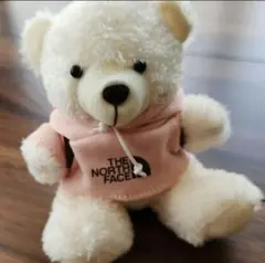 2026年最新】ノースフェイスキーホルダーの人気アイテム - メルカリ