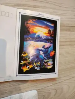 2026年最新】ラッセン マウイムーンⅡの人気アイテム - メルカリ