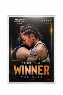 2026年最新】ケイト・ロータスの人気アイテム - メルカリ