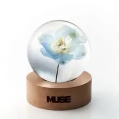 2026年最新】ジミン ペーパーウェイトの人気アイテム - メルカリ