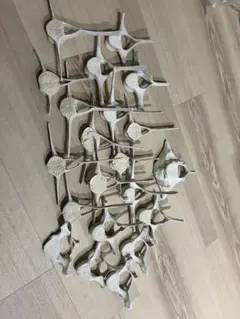 2026年最新】イルカの骨の人気アイテム - メルカリ