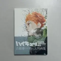 2026年最新】ハイキュー 大判画集の人気アイテム - メルカリ