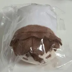 2026年最新】藍染惣右介 ぬいぐるみの人気アイテム - メルカリ