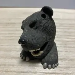 2026年最新】ヒグマ 牙の人気アイテム - メルカリ