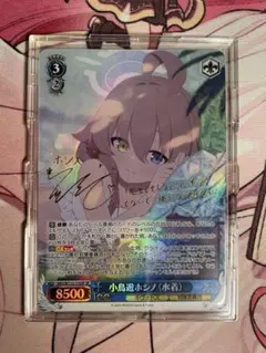 2026年最新】小鳥遊ホシノ spの人気アイテム - メルカリ