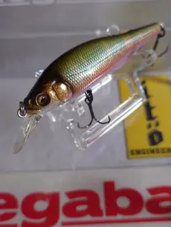 2026年最新】剥製 イトウの人気アイテム - メルカリ