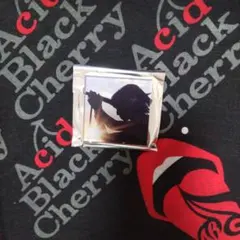 2026年最新】AcidBlackcherry 君がいるからの人気アイテム - メルカリ