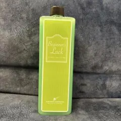 2026年最新】ながら洗車 ビギナーズラックの人気アイテム - メルカリ