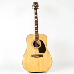 2026年最新】木曽鈴木 ギターの人気アイテム - メルカリ