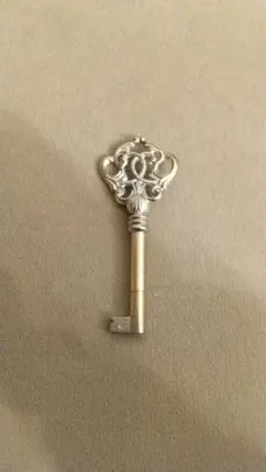 2026年最新】タンノイ 鍵の人気アイテム - メルカリ