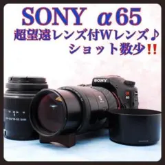 2026年最新】sony α65の人気アイテム - メルカリ