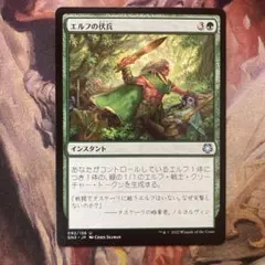 2026年最新】mtg FOIL 日本語の人気アイテム - メルカリ