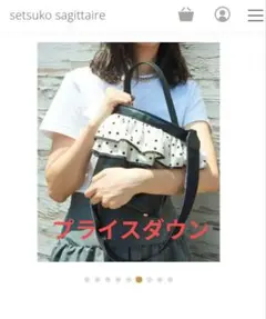 2026年最新】セツコサジテール ピクニックの人気アイテム - メルカリ