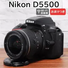 2026年最新】nikon d5500 ダブルズームキットの人気アイテム - メルカリ