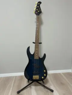 2026年最新】Anboy ギターの人気アイテム - メルカリ