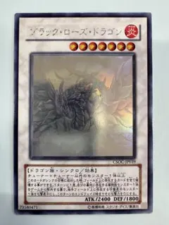 2026年最新】ブラックローズドラゴン ホロの人気アイテム - メルカリ