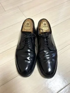 2026年最新】ALDEN 9901の人気アイテム - メルカリ