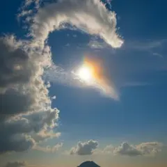 2026年最新】loewe ロエベ バスケットバッグの人気アイテム - メルカリ