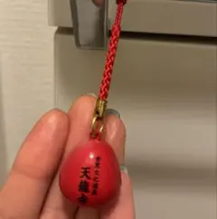 2026年最新】天龍寺の人気アイテム - メルカリ