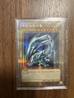 2026年最新】青眼の白龍 韓国の人気アイテム - メルカリ