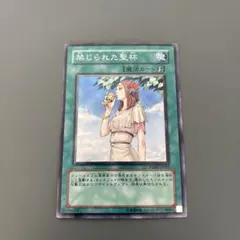 2026年最新】禁じられた聖杯の人気アイテム - メルカリ