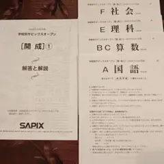 2026年最新】サピックステキストの人気アイテム - メルカリ