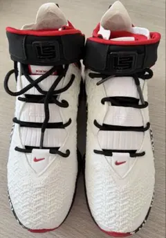 2026年最新】レブロン 17 グラフィティの人気アイテム - メルカリ