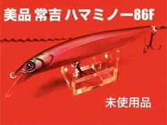 2026年最新】浜ミノーの人気アイテム - メルカリ