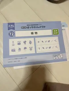 2026年最新】ばっちりくんドリル 応用編 裁断済の人気アイテム - メルカリ