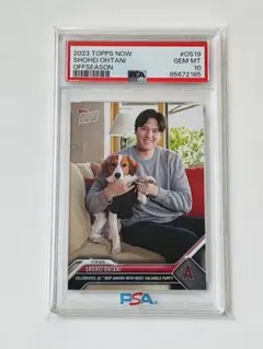 2026年最新】大谷翔平 デコピン psa10の人気アイテム - メルカリ