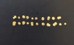 2026年最新】土肥金山 砂金の人気アイテム - メルカリ