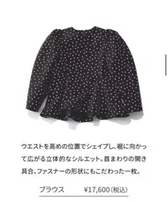 2026年最新】セツコサジテールの人気アイテム - メルカリ