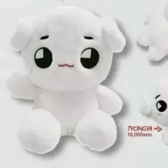 2026年最新】nct ぬいぐるみ 40cmの人気アイテム - メルカリ