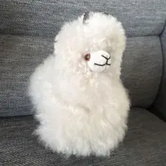 2026年最新】ベビーアルパカ ぬいぐるみの人気アイテム - メルカリ