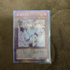 2026年最新】灰流うらら 25th 絵違いの人気アイテム - メルカリ