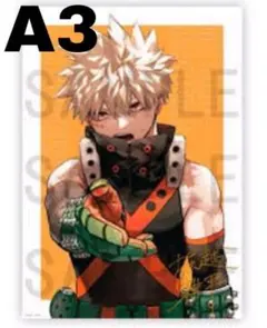 2026年最新】リッチポスター 僕のヒーローアカデミアの人気アイテム